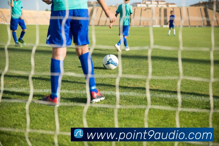 爱游戏官方网站发展历程